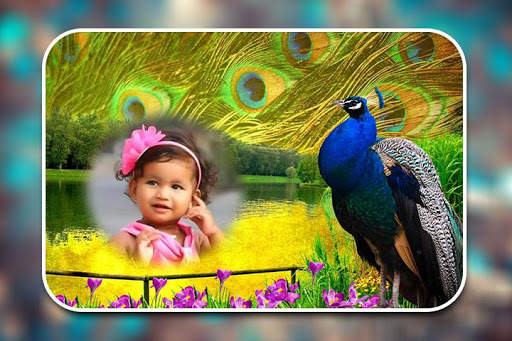 Peacock Photo Frames screenshot 11