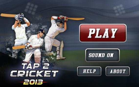 Tap Cricket 2013 screenshot 1
