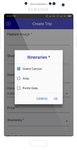 LITT travel screenshot 5