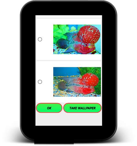 Flowerhorn Fish Live Wallpaper screenshot 9
