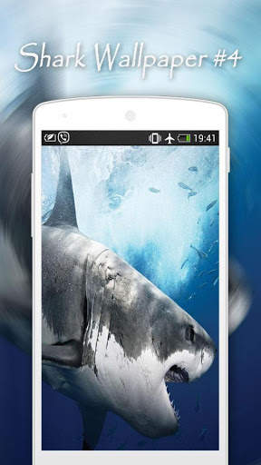 Shark Wallpapers screenshot 5