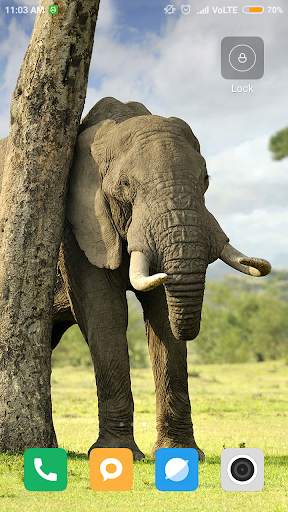 Elephant Wallpaper screenshot 6