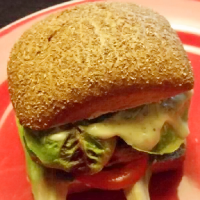 WW Rezepte icon