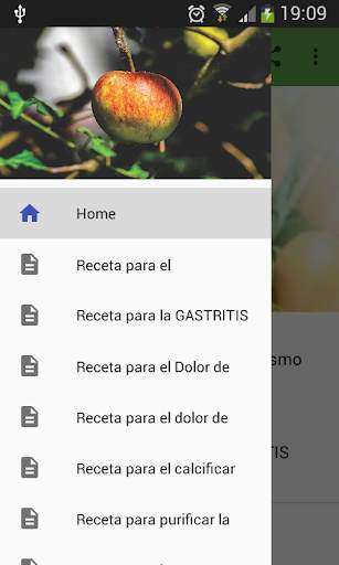 Recetas de plantas medicinales screenshot 1