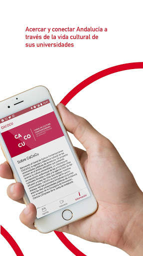 CaCoCu screenshot 6
