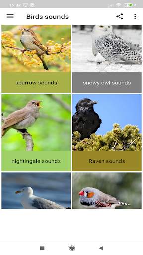 Birds sounds screenshot 1