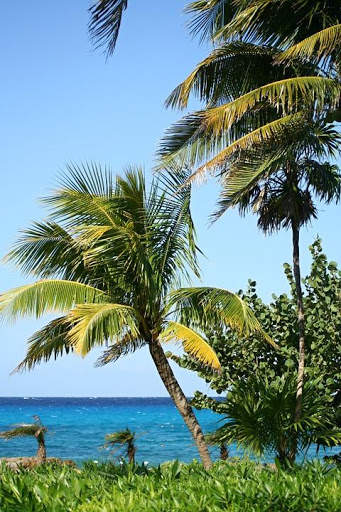 Mexico Wallpaper Travel screenshot 14