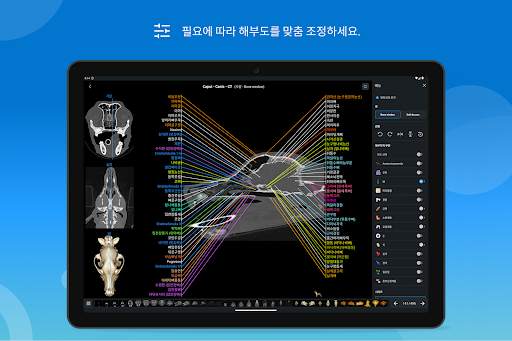 vet-Anatomy screenshot 14