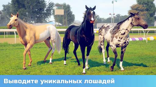 Состязание звезд: скачки скриншот 1