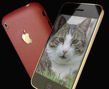 cats wallpapers for whatsapp screenshot 3