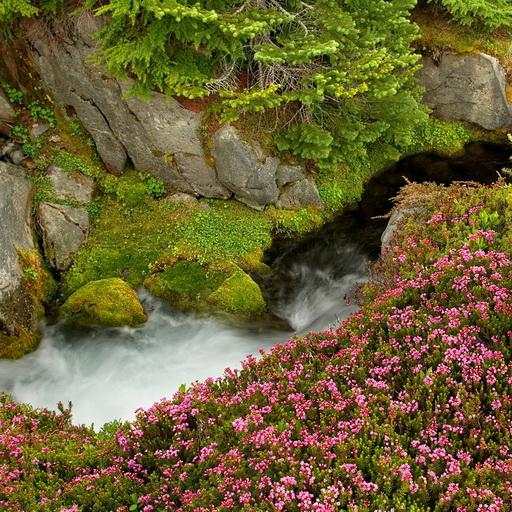 Mountain stream live wallpaper 1.3