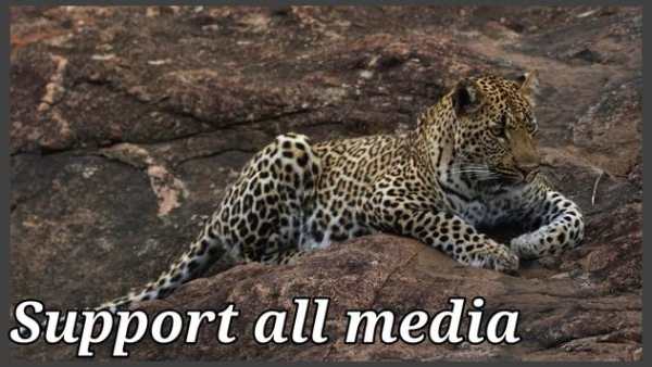 AC3 video player for all media screenshot 4