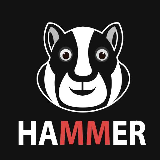Hammer Hamtser VPN : Proxy 10.0.1