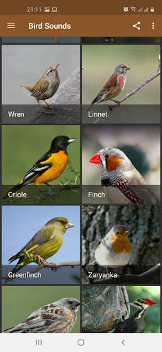 Bird Sounds screenshot 1
