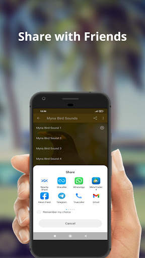 Myna Bird Sounds screenshot 4