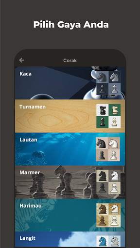Catur - Belajar dan Bermain screenshot 8