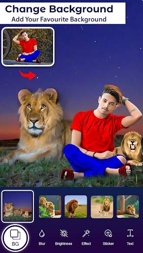 Lion Photo Editor screenshot 4