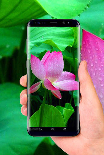 Lotus 3D Live Wallpaper screenshot 2