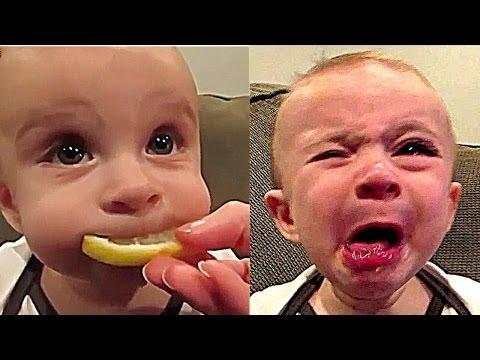 Best Funny Videos for WhatsApp screenshot 2