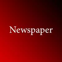 Newspaper