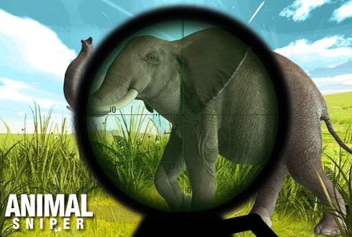 Sniper Jungle Safari 3D screenshot 2