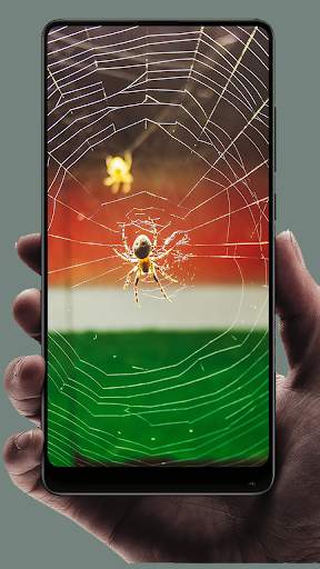 Spider Wallpaper screenshot 12