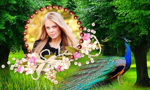 Peacock Photo Frames HD screenshot 1