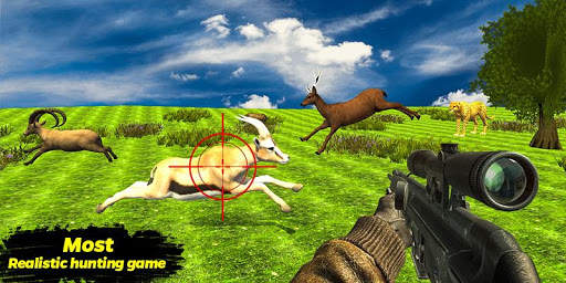 Deer Hunting Adventure-Jungle animal hunter screenshot 2