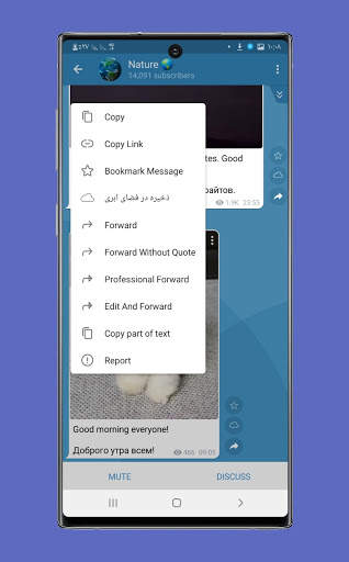 Telegrem : Unofficial Messenger screenshot 3