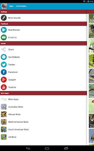 Asian Birds Sounds Free screenshot 24