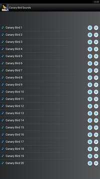 Canary Bird Sounds Ringtones screenshot 1