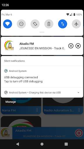 Togo Radio screenshot 4