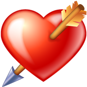 conclude your future wife icon