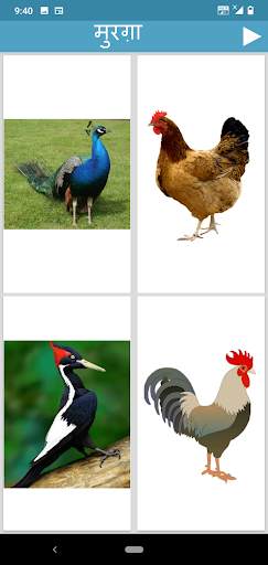 Learn Animals and Birds in Hin screenshot 6