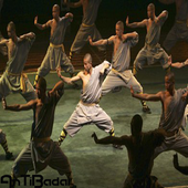 Best Kung Fu Martial Arts Training icon
