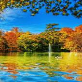 Colorful Lake Live Wallpaper 2