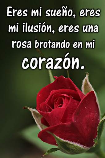 Rosas de Amor screenshot 8