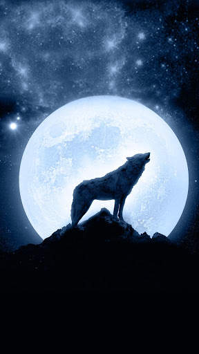 Galaxy ice wolf live wallpaper screenshot 10