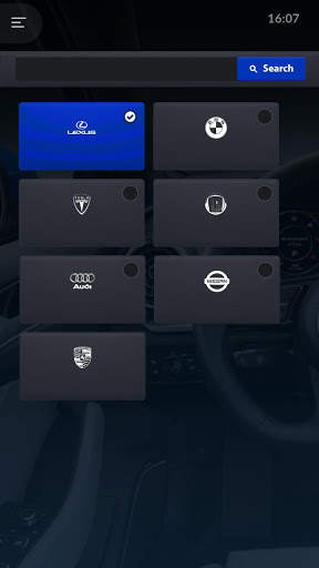 OBD2/ELM327 Bluetooth/WiFi code reader - Carzis screenshot 3