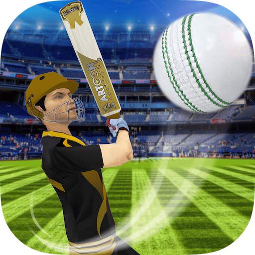 Cricket Multiplayer 4.2