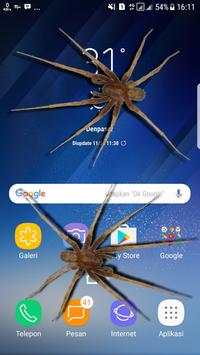 Spider On Screen Scary Joke - Hissing Joke screenshot 2