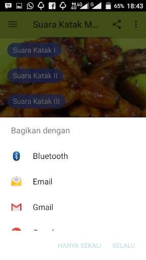 Suara Katak Mp3 screenshot 2