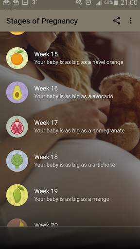 Stages of Pregnancy screenshot 2