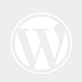 Wopen (light) icon