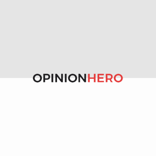 OPINION HERO - Market research icon
