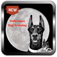 Doberman Dog Training