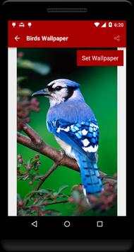 Birds Wallpaper screenshot 2