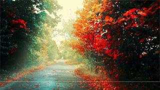 Autumn Live Wallpaper screenshot 1