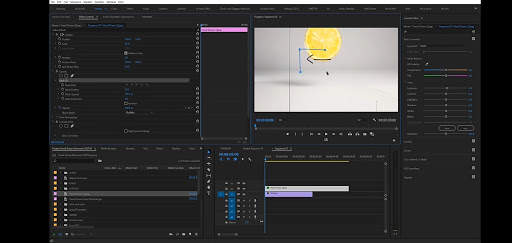 Premiere Clip - Guide for Adobe Premiere Pro screenshot 3