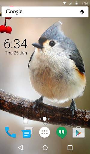 Birdy Animated Keyboard + Live Wallpaper स्क्रीनशॉट 6
